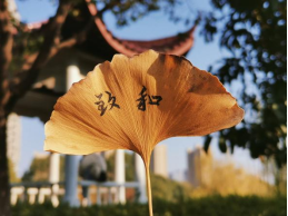 首页- 广发体育官方网站